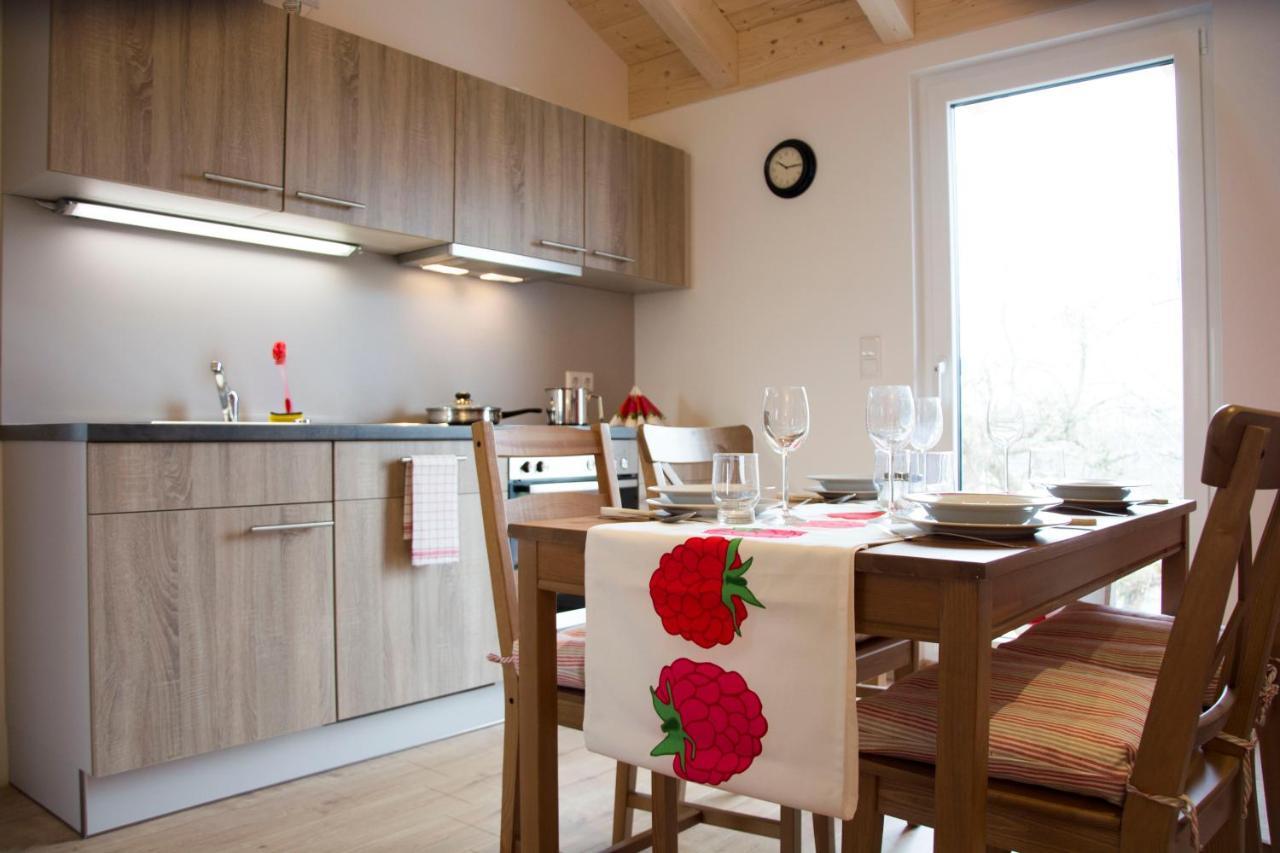 Appartment Vogel Ferienwohnungen Zirndorf Εξωτερικό φωτογραφία